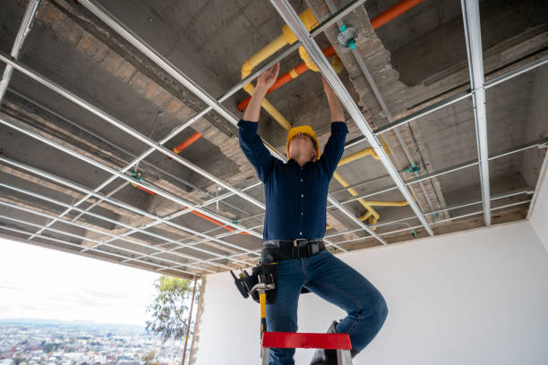 Best Residential Plumbing Services  in Franklin, WI